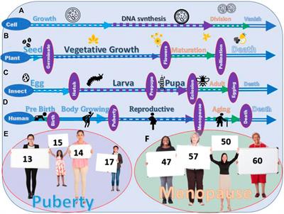 Bring the life stages into the domain of basic and clinical pharmacology